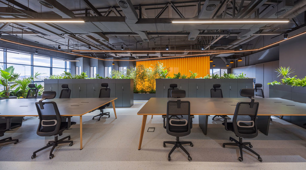 23120_091DFR_baja-1024x570 23120 091DFR Baja 1024x570 1